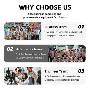 DZD-220 tùy chỉnh dọc gói thực phẩm gia vị máy đóng gói giá tốt bột giấy tự động Túi giấy/bọc cho hạt gia vị - Product Image 4