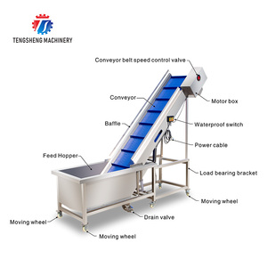 Máy chế biến thực phẩm công nghiệp, làm sạch rau củ quả, cam quýt, quả chanh dây, có chức năng tạo bọt trước khi rửa TS-T30A - Product Image 3