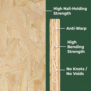 Panneau <span class=keywords><strong>OSB</strong></span> à faible teneur en formaldéhyde E0 ENF, panneau à fibres orientées, imperméable, 9 mm, 12 mm, 15 mm, panneau <span class=keywords><strong>OSB</strong></span>, panneau structurel en fibres pour la Corée - Product Image 4