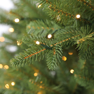 2025 Longstar Full Brunches PE PVC Árbol <span class=keywords><strong>de</strong></span> Navidad verde mixto con soporte <span class=keywords><strong>de</strong></span> árbol estable y luces LED blancas cálidas - Product Image 5