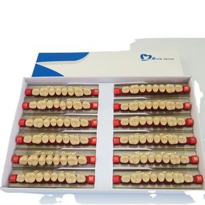 Dents dentaires en résine acrylique pour prothèses dentaires Dent à deux couches - Product Image 1