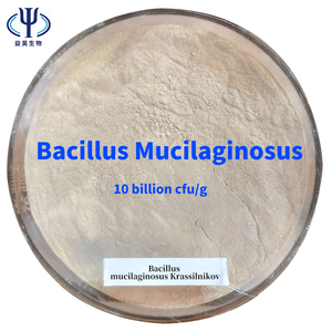 Top Quality Purificar A Qualidade Da Água 20 Bilhões <span class=keywords><strong>Bacillus</strong></span> Subtilis Bactérias Nitrificantes Para Lagoas - Product Image 3