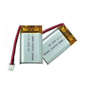 Заводская оптовая продажа LP602030 3,7 В 300 мАч литий-полимерная аккумуляторная батарея для ноутбука - Product Image 2