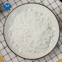 Pâtes en vrac sans calorie, spaghetti, aliments santé, nouilles de konjac