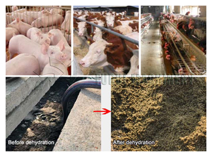 Équipement agricole : Machine de séparation solide-liquide automatique pour excréments et urines, presse à vis avec tamis incliné pour la déshydratation du fumier - Product Image 3