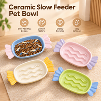 Bol en céramique pour animaux de compagnie en forme de bonbon, à alimentation lente, ondulé, anti-étouffement, pour chat et chien, facile à nettoyer, avec logo personnalisé