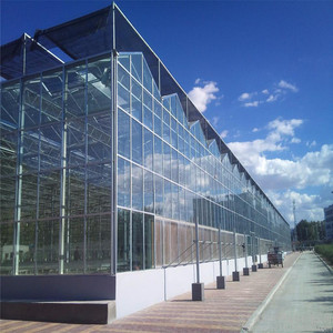 Fournitures d'usine Kit de culture hydroponique <span class=keywords><strong>jardin</strong></span> agricole écologique utilisé éponge hydroponique de plante de graine - Product Image 2