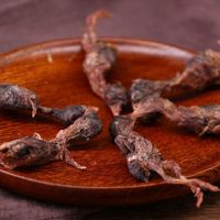 Friandises Naturelles Lyophilisées pour Chiens et Chats à Base de Caille, 100% Sans Ingrédients Ajoutés, Riches en Protéines, Vente en Gros Direct Usine