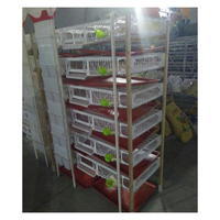 Cages à cailles de couche de conception automatique/cage commerciale à cailles à vendre