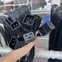 Utilisation en intérieur Support robuste pour équipement informatique d'entreprise Câble d'extension Cordon d'alimentation PC Connecteurs IEC 60320 C19 à C20