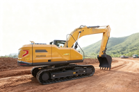 Excavatrice hydraulique E200GA : Manipulation sans effort pour les travaux de fondation de logements et de remise en état des terrains