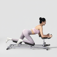 Lingxi Commercial Gym Arm Leg Trainer Crawling Extension Curl Machine Pin Loaded Heavy-Duty Steel Frame Dual Function 2-in-1