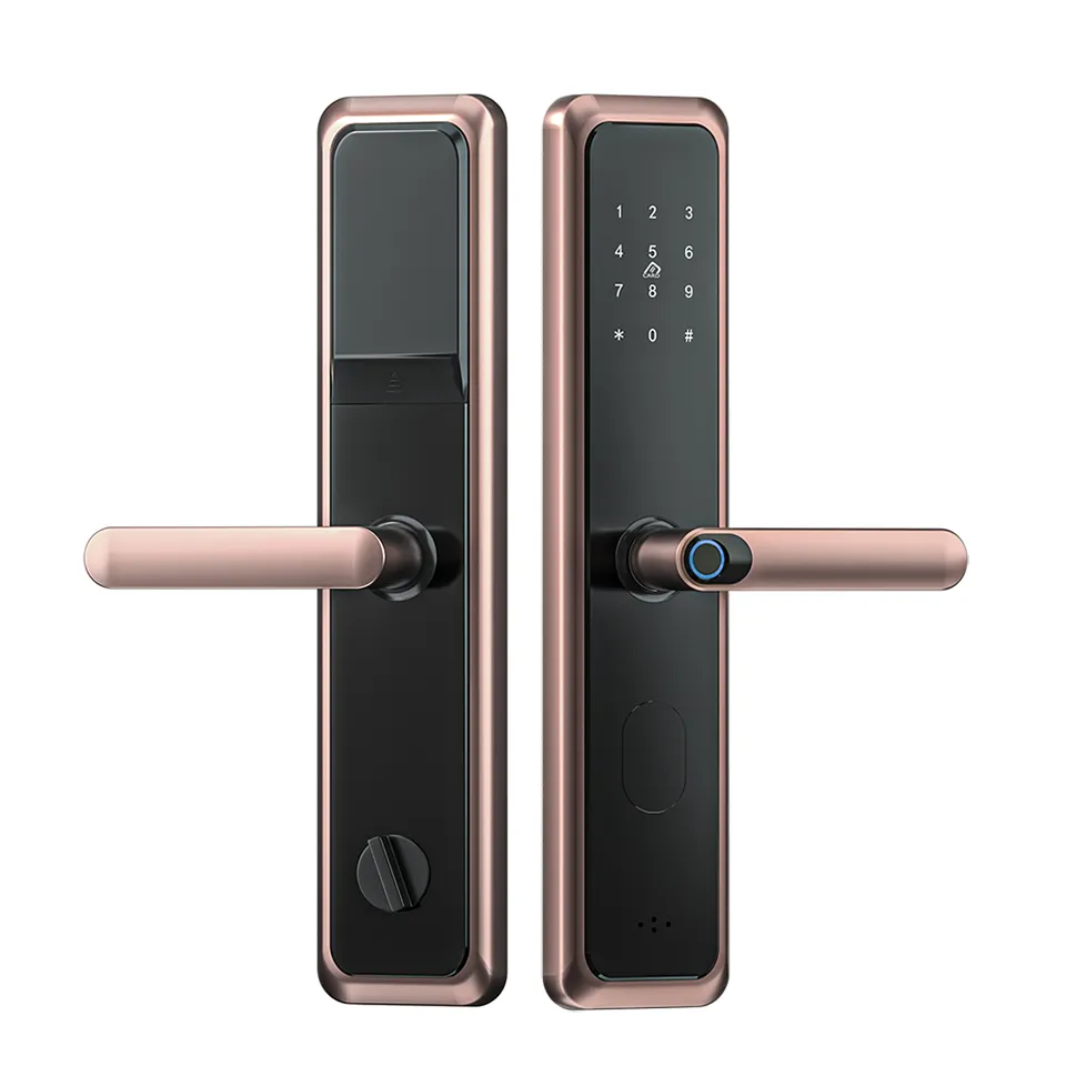 Smart Home Fingerprint Handle Door Lock TTlock Tuya Blue tooth WiFi Fechadura Eletronic Digital Intelligent Keyless Door Lock