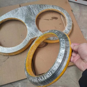 Nhà Máy bán hàng trực tiếp BƠM BÊ TÔNG mặc tấm và đeo nhẫn cho dainong/waitzinger/callaghan/Elba/reich xe tải BƠM BÊ TÔNG - Product Image 3