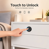 Vente directe usine – Armoire à tiroirs intégrée avec lecteur d'empreintes digitales, meuble de rangement double porte pour bureau, chevet ou chaussures, compatible serrure intelligente et Cloud