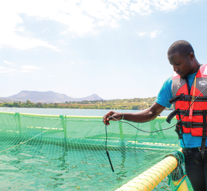 HDPE/jaula de red de peces flotante de nailon 100% PE trampa de acuicultura cuadrada para el lago <span class=keywords><strong>Victoria</strong></span> Tilapia agricultura en África lago <span class=keywords><strong>Victoria</strong></span> - Product Image 4