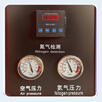 Delilai - Aceite para Mantenimiento de Amortiguadores e Inflador de Neumáticos con Nitrógeno Automático, CA 220-240V, China
