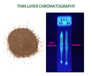 Herb Semen Cuscutae <strong>Extract</strong> 10:1 Semen Cuscutae Chinensis <strong>Dodder</strong> Seed <strong>Extract</strong> - Product Image 2