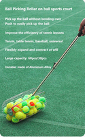 Buigbare, flexibele tennisbalophaaltool, telescopische stok, roller, mesh tas, multifunctioneel balophaalhulpmiddel met neerwaartse druk