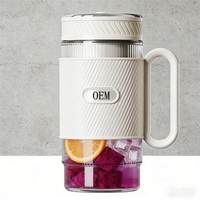 500ml Draagbare Blender Persoonlijke Smoothie Maker voor Shakes, Sappen, IJsvergruizing, USB Oplaadbaar, Kleine Mixer