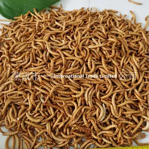 Insectos Liofilizados, Gusanos Secos, Bocadillos para Hámsteres, Alimento para Peces Tropicales Arowana, Pez Pajita, Luohan, Shandong - Product Image 2