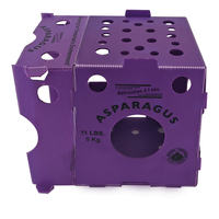Emballage pour asperges Yuexin, en plastique Coroplast empilable, imperméable, réutilisable et recyclable, boîte en PP ondulé