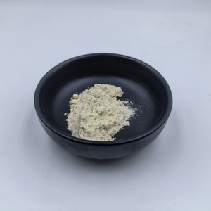Wholesale Food Grade Additive Supply Bulk Pancreatin 10X Pancreatic <b>Enzyme</b> Powder Pancreatic <b>Enzyme</b> - Product Image 2