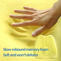 Coussin lombaire orthopédique pour voiture, chaise de bureau et siège de maison – Soulagement des douleurs lombaires