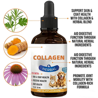 Complément liquide pour chiens pour la santé de la peau et du pelage, fourrure brillante, soulagement des démangeaisons, avec collagène, biotine, vitamine C, acide hyaluronique, action rapide