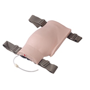 Modelo de Glúteo de PVC para Inyección Intramuscular, Simulador de Inyección en Músculo de la Cadera, Maniquí Anatómico para Entrenamiento - Product Image 1