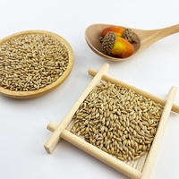 Graines de canari pour aliments pour oiseaux, aliments pour animaux à vendre