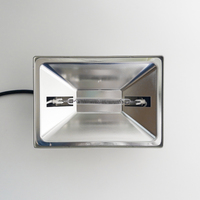 Lampe infrarouge en fibre de carbone BLUEWORTH pour animaux de compagnie, 175/275W, réglable, avec couvercle carré, design suspendu, prises américaines 110V, durable, pour le chauffage des animaux