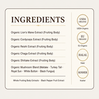 Mélange de poudre d'extraits de champignons multiples Crinière de lion, Reishi, Cordyceps, Shiitake, Maitake, Formule à rapport personnalisé, Vente en gros OEM