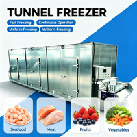 Machine de congélation en tunnel IQF pour filets de poulet, contrôle automatique de la température de -45°C à 0°C, compresseur Bitzer