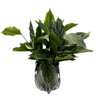 Réaliste fausse verdure à feuilles persistantes Calathea Dracaena fausses plantes faux palmier 14 feuilles plantes artificielles en pot pour la décoration intérieure