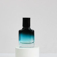 Flacon de parfum vide de 30 ml, corps en verre coloré, bouchon peint de qualité supérieure, grande capacité, pompe à pression, flacon de parfum en verre
