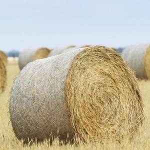 HDPE Hochwertige 1,23x3000 <span class=keywords><strong>Net</strong></span> Wrapping Bales <span class=keywords><strong>26</strong></span> "Round Bale <span class=keywords><strong>Net</strong></span> Wrap Preise für Landwirtschaft Farm - Product Image 3