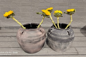 Maceta de <span class=keywords><strong>terracota</strong></span> hecha a mano Vintage moderna grande para interior/exterior maceta gigante con recubrimiento en polvo para jardinería uso doméstico - Product Image 6