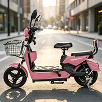 Vélo électrique Olbetter Golden Eagle avec batteries lithium-ion et plomb-acide, moteur brushless 800W, écran LCD, cadre en acier, vélo de livraison urbain