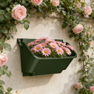 <span class=keywords><strong>Macetas</strong></span> <span class=keywords><strong>de</strong></span> Plástico Creativas para Decoración <span class=keywords><strong>de</strong></span> Interiores, Hogar y Jardín, <span class=keywords><strong>Macetas</strong></span> Colgantes Verticales, <span class=keywords><strong>Macetas</strong></span> <span class=keywords><strong>de</strong></span> <span class=keywords><strong>Pared</strong></span> Semicirculares - Product Image 6