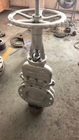 Venta Directa de Válvula de Compuerta de Acero Inoxidable 316L para la Industria Química