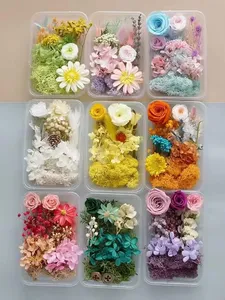 Boîte de <span class=keywords><strong>fleurs</strong></span> séchées <span class=keywords><strong>stabilisées</strong></span> pour l'art de la résine DIY, <span class=keywords><strong>fleurs</strong></span> séchées mélangées multicolores, en vrac, naturelles, kits de matériaux - Product Image 4