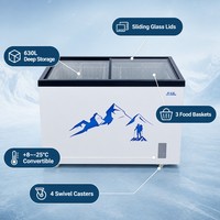 Congélateur coffre profond avec paniers de présentation, contrôle électronique de la température, refroidissement puissant, roulettes mobiles, pour affichage d'aliments surgelés, OEM