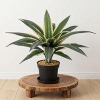 Tanaman Agave Palsu Ukuran Besar 48cm Dua Warna Daun Kuning Hijau Tahan UV untuk Proyek Lanskap