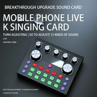 Casque USB professionnel Microphone Console de mixage Audio amplificateur externe V8 Plus carte son carte mélangeur pour Webcast Live