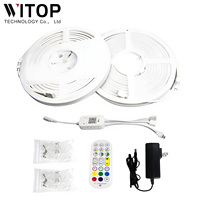 Fabricación al por mayor Neon Set 0613 DC12/24V RGB Multi Color RF Control + App Control Touch Control Neon Strip Light Kit