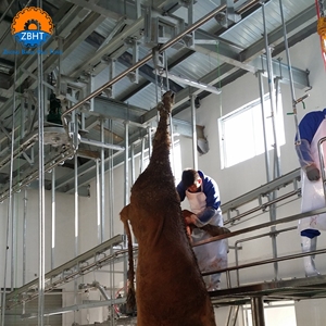 Komplette Rinder- und Kuh-Schlachthofausrüstung für Schlachthöfe mit Langlebigkeit und Hoher Qualität - Product Image 2