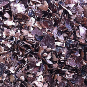 Nuez de Anacardo de Vietnam al por Mayor para Procesamiento - Product Image 1