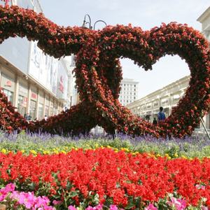 Decoración de Jardín Público, Hazlo Tú Mismo, Macetas con Marco para un Bonito Jardín, Diseño Especial - Product Image 5