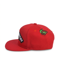 Casquette personnalisable 6 panneaux 100 % coton style streetwear hip-hop avec broderie 3D motif animal de dessin animé pour sport et pêche